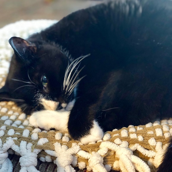 COMMENTS FULL! - Picture 7 of 8